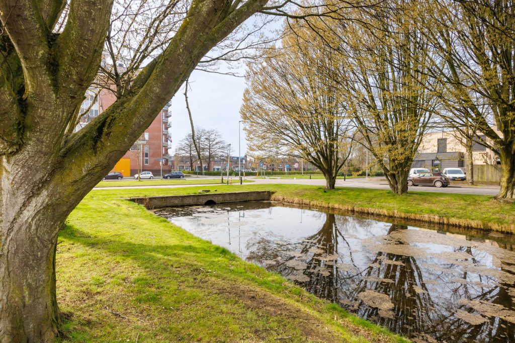 Beschrijving