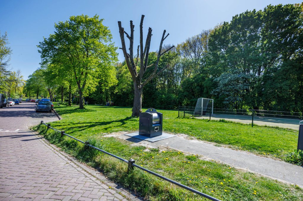 Beschrijving