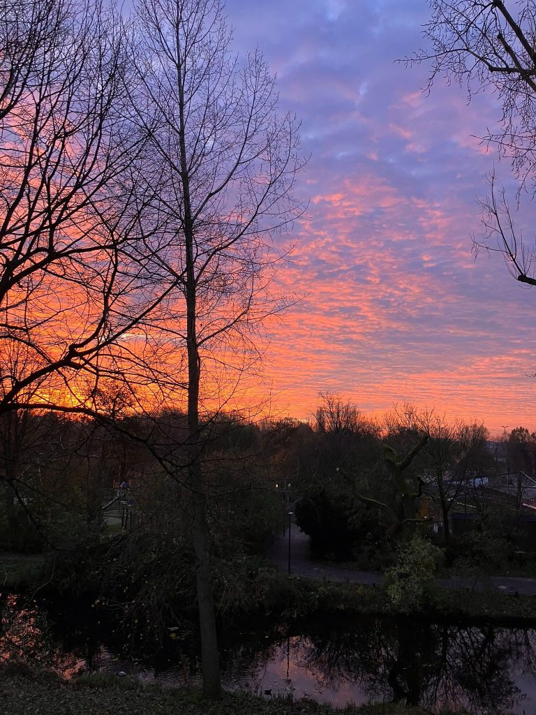 Beschrijving